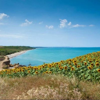 VASTO3-e1552926752776